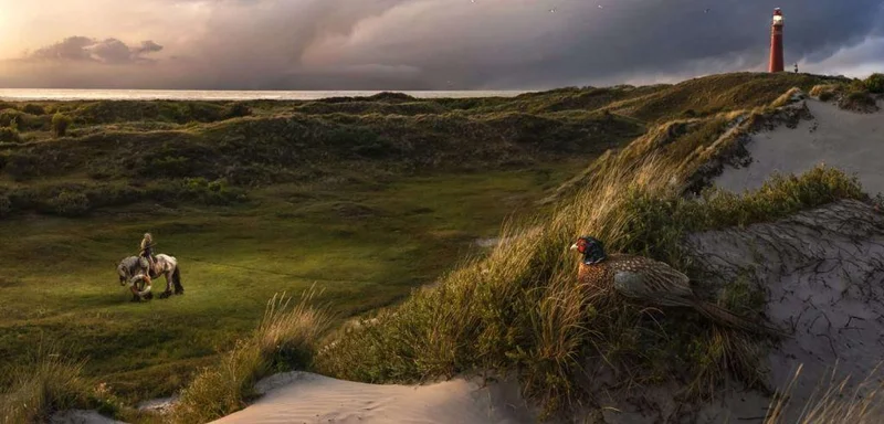 Maartje Roos Photography