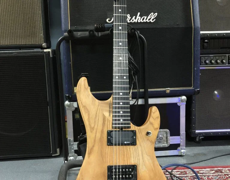 Gitaarschool Friesland Martin de Vries